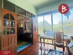 ขายบ้านเดี่ยว เนื้อที่ 2 ไร่ 19.6 ตร.วา อุโมงค์ ลำพูน-202510250930291761359429871.jpg