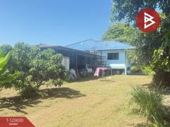 ขายบ้านเดี่ยว เนื้อที่ 2 ไร่ 19.6 ตร.วา อุโมงค์ ลำพูน-202510250930301761359430399.jpg