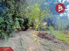 ขายบ้านเดี่ยว เนื้อที่ 2 ไร่ 19.6 ตร.วา อุโมงค์ ลำพูน-202510250930351761359435295.jpg