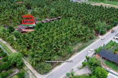 ที่ดินพร้อมสิ่งปลูกสร้าง เนื้อที่ 3-0-18 ตรว. ทำเลดี ใกล้ร้านกาแฟภพรัก ตำบลจอมปลวก อำเภอบางคณที จังหวัดสมุทรสงคราม