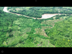 ขายสวนทุเรียนพร้อมเนื้อที่ ที่ดิน450ไร่ ติดแม่น้ำแควน้อยกว้าง1กิโลเมตร เอกสารสิทธ์นส.3ก.ครุฑเขียว(เทียบเท่าโฉนด)ขายเพียงไร่ละ 3.5แสน ทุเรียน5พันต้นอายุ5ปีกำลังออกผลผลิต