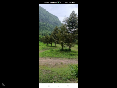 ขายสวนทุเรียนพร้อมเนื้อที่ ที่ดิน450ไร่ ติดแม่น้ำแควน้อยกว้าง1กิโลเมตร เอกสารสิทธ์นส.3ก.ครุฑเขียว(เทียบเท่าโฉนด)ขายเพียงไร่ละ 3.5แสน ทุเรียน5พันต้นอายุ5ปีกำลังออกผลผลิต-202510251011211761361881321.png