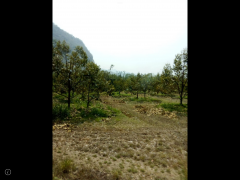 ขายสวนทุเรียนพร้อมเนื้อที่ ที่ดิน450ไร่ ติดแม่น้ำแควน้อยกว้าง1กิโลเมตร เอกสารสิทธ์นส.3ก.ครุฑเขียว(เทียบเท่าโฉนด)ขายเพียงไร่ละ 3.5แสน ทุเรียน5พันต้นอายุ5ปีกำลังออกผลผลิต-202510251011211761361881902.png