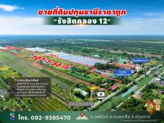ขายที่ดินปทุมธานี รังสิตคลอง 12 ตำบลนพรัตน์ อำเภอหนองเสือ ติดถนนใหญ่คอนกรีตกว้างเกือบ 100 เมตร อยู่ใกล้ชุมชน วัดนพรัตนาราม และ โรงเรียนวัดนพรัตนาราม (ตร.วา ละ 1,xxx) เจ้าของขายเอง-202510251026421761362802195.jpg