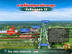 ขายที่ดินปทุมธานี รังสิตคลอง 12 ตำบลนพรัตน์ อำเภอหนองเสือ ติดถนนใหญ่คอนกรีตกว้างเกือบ 100 เมตร อยู่ใกล้ชุมชน วัดนพรัตนาราม และ โรงเรียนวัดนพรัตนาราม (ตร.วา ละ 1,xxx) เจ้าของขายเอง-202510251026431761362803865.jpg