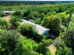 ขายที่ดินปทุมธานี รังสิตคลอง 12 ตำบลนพรัตน์ อำเภอหนองเสือ ติดถนนใหญ่คอนกรีตกว้างเกือบ 100 เมตร อยู่ใกล้ชุมชน วัดนพรัตนาราม และ โรงเรียนวัดนพรัตนาราม (ตร.วา ละ 1,xxx) เจ้าของขายเอง-202510251026491761362809421.jpg