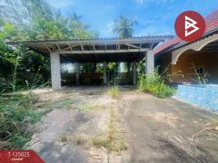 ขายบ้านเดี่ยว เนื้อที่ 2 งาน 2 ตร.วา บางละมุง ชลบุรี-202510251121091761366069269.jpg