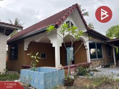 ขายบ้านเดี่ยว เนื้อที่ 2 งาน 2 ตร.วา บางละมุง ชลบุรี-202510251121101761366070798.jpg