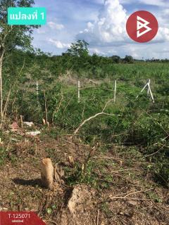 ขายที่ดิน เนื้อที่ 2 ไร่ 72.9 ตร.วา บ้านโป่ง ราชบุรี-202510251145451761367545185.jpg