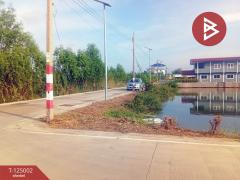 ขายที่ดิน เนื้อที่ 1 งาน 1 ตร.วา พระสมุทรเจดีย์ สมุทรปราการ-202510251204031761368643414.jpg