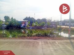 ขายที่ดิน เนื้อที่ 1 งาน 1 ตร.วา พระสมุทรเจดีย์ สมุทรปราการ-202510251204031761368643946.jpg