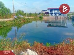 ขายที่ดิน เนื้อที่ 1 งาน 1 ตร.วา พระสมุทรเจดีย์ สมุทรปราการ-202510251204041761368644474.jpg