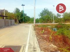 ขายที่ดิน เนื้อที่ 1 งาน 1 ตร.วา พระสมุทรเจดีย์ สมุทรปราการ-202510251204051761368645008.jpg