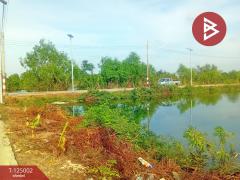 ขายที่ดิน เนื้อที่ 1 งาน 1 ตร.วา พระสมุทรเจดีย์ สมุทรปราการ-202510251204051761368645924.jpg