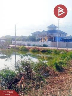 ขายที่ดิน เนื้อที่ 1 งาน 1 ตร.วา พระสมุทรเจดีย์ สมุทรปราการ-202510251204061761368646457.jpg