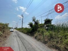 ขายที่ดินพร้อมปลูกบ้าน เนื้อที่ 122 ตร.วา ซ. สังฆสันติสุข 40 หนองจอก กรุงเทพมหานคร-202510251338271761374307903.jpg