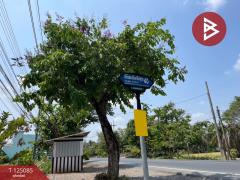 ขายที่ดินพร้อมปลูกบ้าน เนื้อที่ 122 ตร.วา ซ. สังฆสันติสุข 40 หนองจอก กรุงเทพมหานคร-202510251338281761374308426.jpg