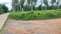 โปรปังทรัพย์ดีปลายปี68 ขายที่ดินใกล้หาดบางเบิด ติดถนนทางหลวง ใกล้หาด1 กม. +ขนาดที่ดิน 50-1-18 ไร่ โฉนดครุฑแดง พร้อมโอน ไร่ล่ะ 8 แสน