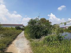 ขาย ที่ดินย่านถนนสุวินทวงศ์ 18-02-46 ไร่ เหมาะสร้าง หมู่บ้าน ทาวน์โฮม คอนโด-202510251439311761377971487.jpg