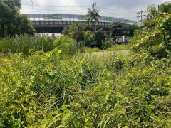 ขาย ที่ดินย่านถนนสุวินทวงศ์ 18-02-46 ไร่ เหมาะสร้าง หมู่บ้าน ทาวน์โฮม คอนโด-202510251439321761377972035.jpg