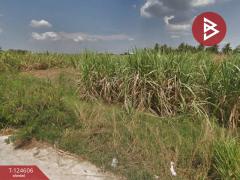 ขายที่ดิน-เนื้อที่-2-ไร่-2-ตร.วา-ต.หนองห