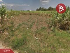 ขายที่ดิน เนื้อที่ 2 ไร่ 2 ตร.วา ต.หนองหงษ์ อ.พานทอง จ.ชลบุรี-202510251511121761379872236.jpg