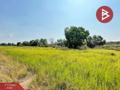 ขายด่วนที่ดิน เนื้อที่ 1 ไร่ บางน้ำเปรี้ยว ฉะเชิงเทรา บรรยากาศดี