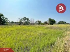 ขายด่วนที่ดิน เนื้อที่ 1 ไร่ บางน้ำเปรี้ยว ฉะเชิงเทรา บรรยากาศดี-202510251514241761380064950.jpg