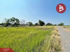 ขายด่วนที่ดิน เนื้อที่ 1 ไร่ บางน้ำเปรี้ยว ฉะเชิงเทรา บรรยากาศดี-202510251514251761380065482.jpg