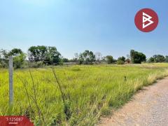 ขายด่วนที่ดิน เนื้อที่ 1 ไร่ บางน้ำเปรี้ยว ฉะเชิงเทรา บรรยากาศดี-202510251514261761380066014.jpg