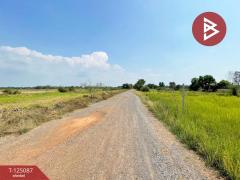 ขายด่วนที่ดิน เนื้อที่ 1 ไร่ บางน้ำเปรี้ยว ฉะเชิงเทรา บรรยากาศดี-202510251514261761380066546.jpg