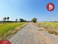 ขายด่วนที่ดิน เนื้อที่ 1 ไร่ บางน้ำเปรี้ยว ฉะเชิงเทรา บรรยากาศดี-202510251514271761380067077.jpg