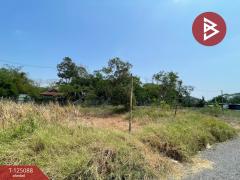 ขายด่วนที่ดิน เนื้อที่ 162 ตารางวา หนองจอก กรุงเทพฯ เหมาะแก่การปลูกบ้าน-202510251526071761380767534.jpg