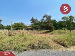 ขายด่วนที่ดิน เนื้อที่ 162 ตารางวา หนองจอก กรุงเทพฯ เหมาะแก่การปลูกบ้าน-202510251526081761380768048.jpg