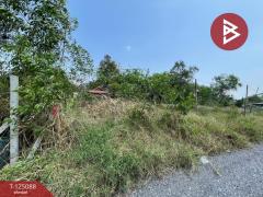 ขายด่วนที่ดิน เนื้อที่ 162 ตารางวา หนองจอก กรุงเทพฯ เหมาะแก่การปลูกบ้าน-202510251526101761380770130.jpg