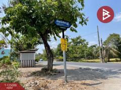 ขายด่วนที่ดิน เนื้อที่ 162 ตารางวา หนองจอก กรุงเทพฯ เหมาะแก่การปลูกบ้าน-202510251526111761380771170.jpg