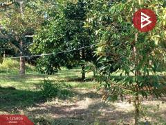 ขายที่ดินพร้อมสิ่งปลูกสร้าง เนื้อที่ 2 ไร่ 3 งาน 21.9 ตร.วา มะขาม จันทบุรี-202510251526461761380806131.jpg