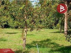 ขายที่ดินพร้อมสิ่งปลูกสร้าง เนื้อที่ 2 ไร่ 3 งาน 21.9 ตร.วา มะขาม จันทบุรี-202510251526461761380806662.jpg