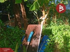 ขายที่ดินพร้อมสิ่งปลูกสร้าง เนื้อที่ 2 ไร่ 3 งาน 21.9 ตร.วา มะขาม จันทบุรี-202510251526481761380808226.jpg