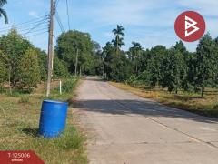 ขายที่ดินพร้อมสิ่งปลูกสร้าง เนื้อที่ 2 ไร่ 3 งาน 21.9 ตร.วา มะขาม จันทบุรี-202510251526491761380809689.jpg