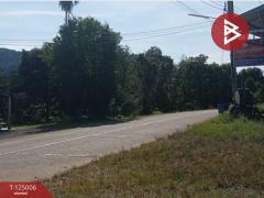 ขายที่ดินพร้อมสิ่งปลูกสร้าง เนื้อที่ 2 ไร่ 3 งาน 21.9 ตร.วา มะขาม จันทบุรี-202510251526501761380810210.jpg