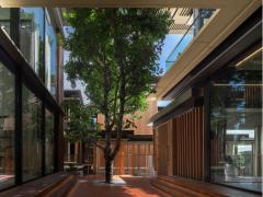 ขายบ้านหรู Mulberry Grove Villa – The Forestias ที่สุดของบ้านระดับ Ultra Luxury Super Home by MQDC-202510251537291761381449025.jpg