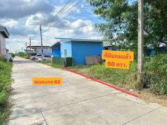 ขายที่ดินถมแล้ว เป็นแหล่งชุมชน เข้าออกได้หลายทาง ด้านหน้าแปลงติดถนนเลียบคลอง2 ด้านท้ายแปลงติดถนนลาดยาง เข้าออกได้ การคมนาคมสะดวก เหมาะสำหรับสร้างที่อยู่อาศัย ออฟฟิศ โกดัง ซื้อลงทุน-202510251537411761381461335.jpg