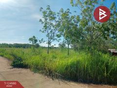 ขายที่ดินพร้อมสวนปาล์ม เนื้อที่ 19 ไร่ 1 งาน หนองเข็ง บึงกาฬ