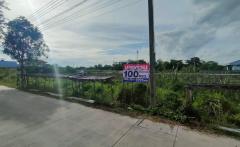 ขนาด 100 ตรว. หน้าที่ดินกว้าง 22เมตรยาวลึก 20เมตร เดินทางสะดวก ติดถนนคอนกรีตกว้าง 5 เมตร  เป็นแหล่งชุมชน เข้าออกได้หลายทาง ด้านหน้าแปลงติดถนนเลียบคลอง2 ด้านท้ายแปลงติดถนนลาดยาง เข้าออกได้ การคมนาคมสะดวก เหมาะสำหรับสร้างที่อยู่อาศัย ออฟฟิศ โกดัง ซื้อล