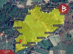 ขายด่วนที่ดินสวนทุเรียน เนื้อที่ 36 ไร่ 2 งาน 62 ตารางวา ลับแล อุตรดิตถ์