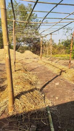 ขายที่ดิน 8 ไร่ 300 ตารางวา โฉนดครุฑแดง ต.ภูหอ อ.ภูหลวง ไร่ละ 170,000 บาท-202510251654571761386097167.jpg