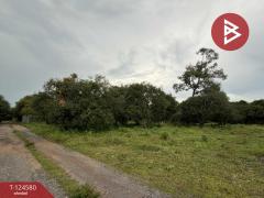 ขายที่ดินสวย-เนื้อที่-1-งาน-53.7-ตารางวา