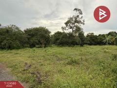 ขายที่ดินสวย เนื้อที่ 1 งาน 53.7 ตารางวา ใกล้ตลาดตะพงถมแล้ว ตะพง ระยอง-202510251712101761387130088.jpg