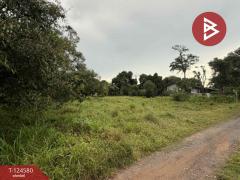 ขายที่ดินสวย เนื้อที่ 1 งาน 53.7 ตารางวา ใกล้ตลาดตะพงถมแล้ว ตะพง ระยอง-202510251712101761387130625.jpg